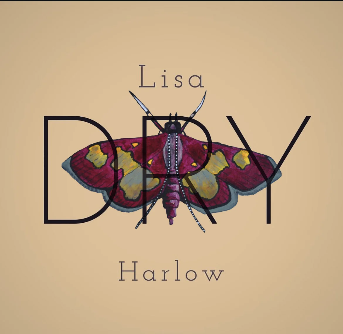 Lisa Dry Harlow, artist