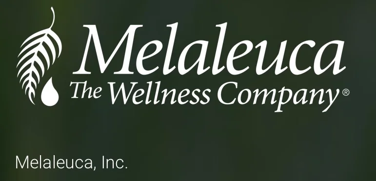 The Wellness Store Logo