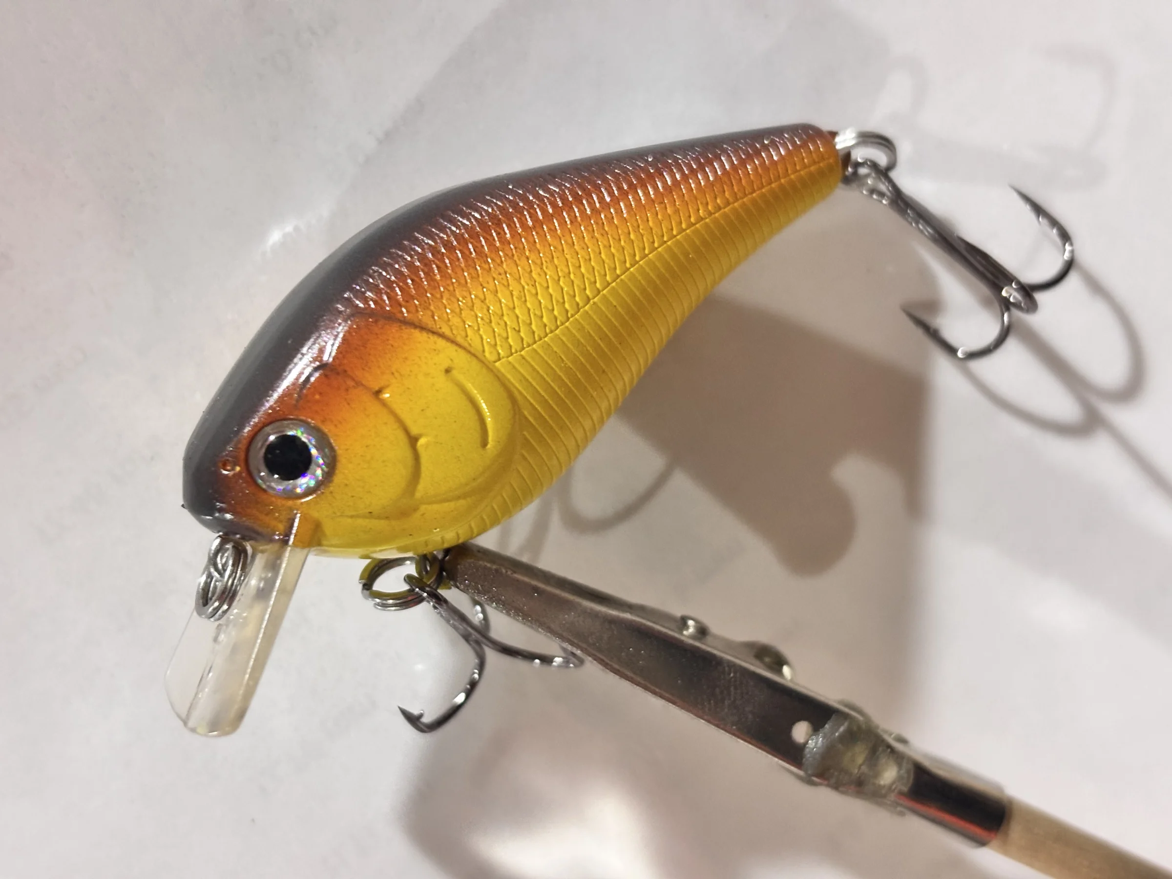 BIG THUMP BAIT COMPANY - Image 2