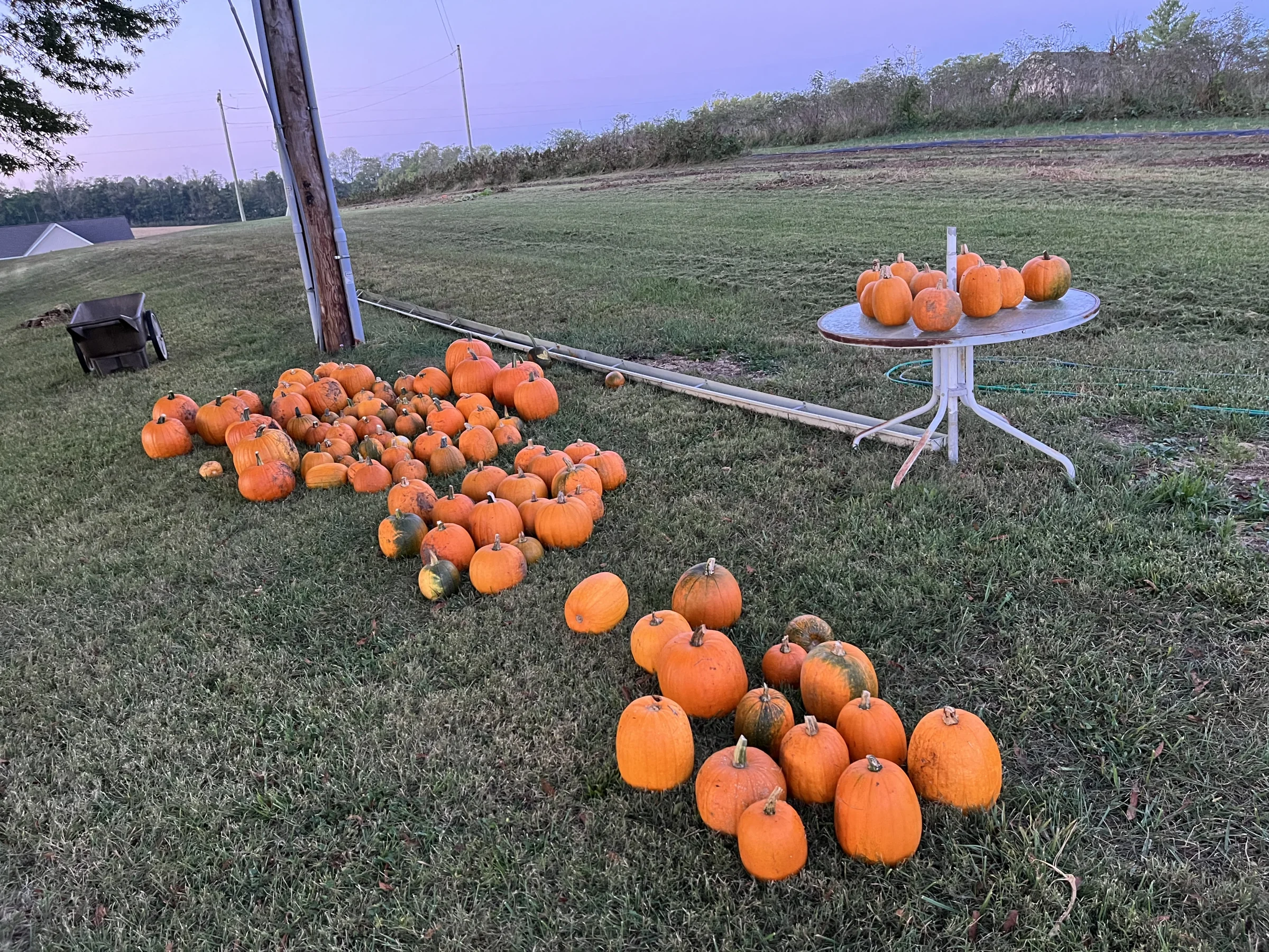 Turney Farms - Image 2