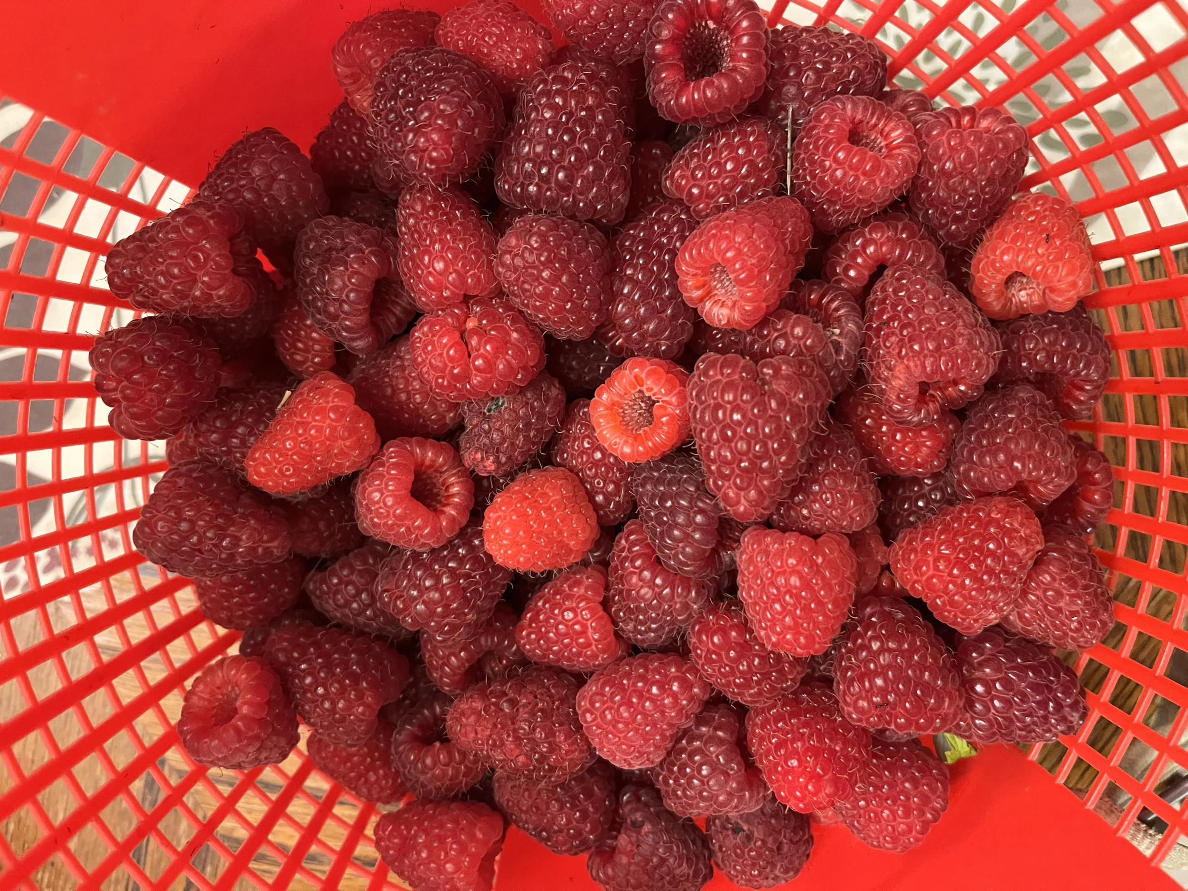 Turney Farms - Image 1