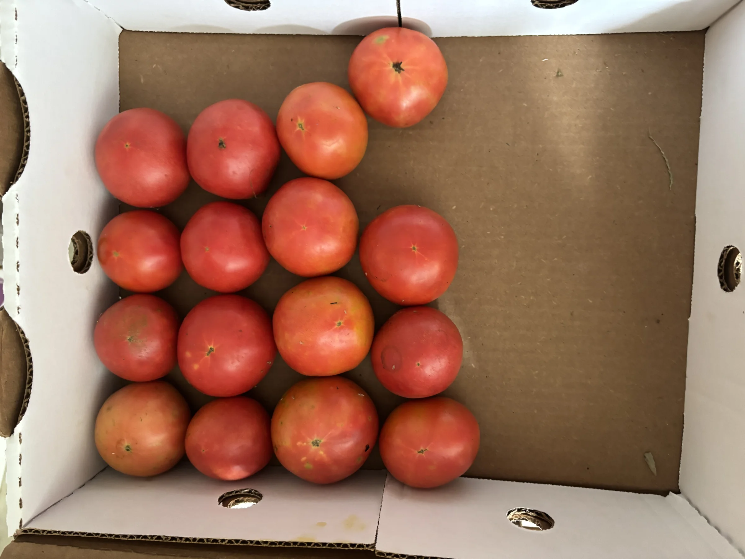 Walker Produce - Image 3