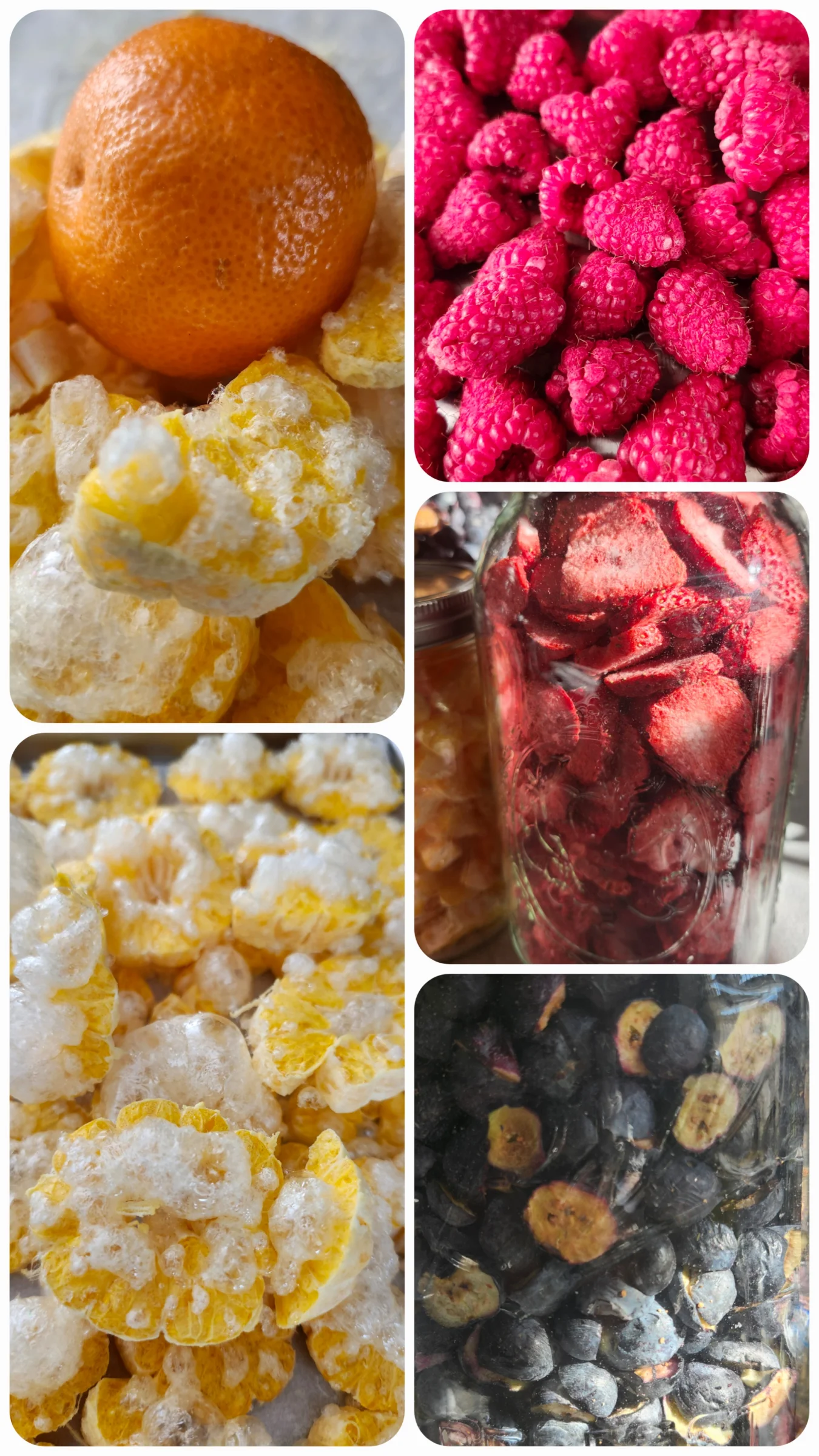 Sassy's Sweets Freeze Dried Candy and Treats  - Image 10