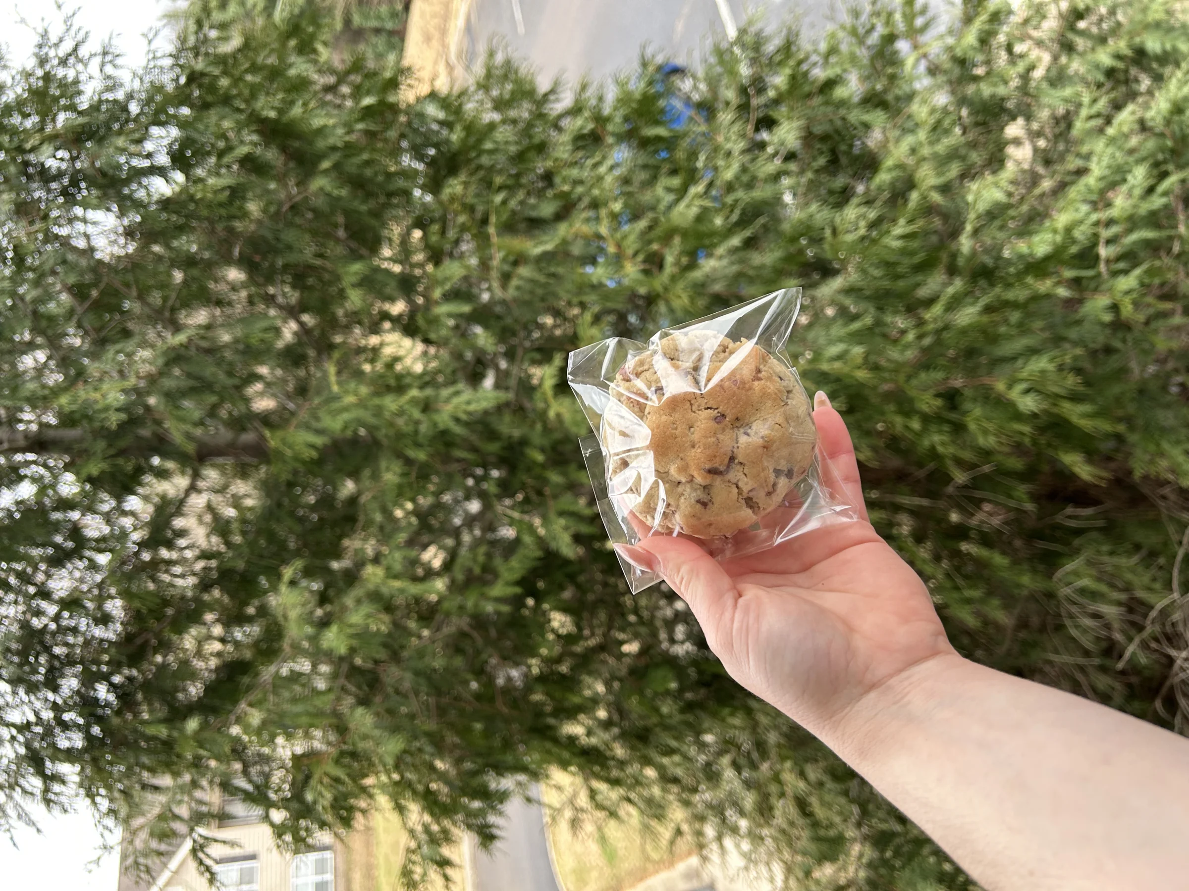 Malia bakehouse  - Image 2