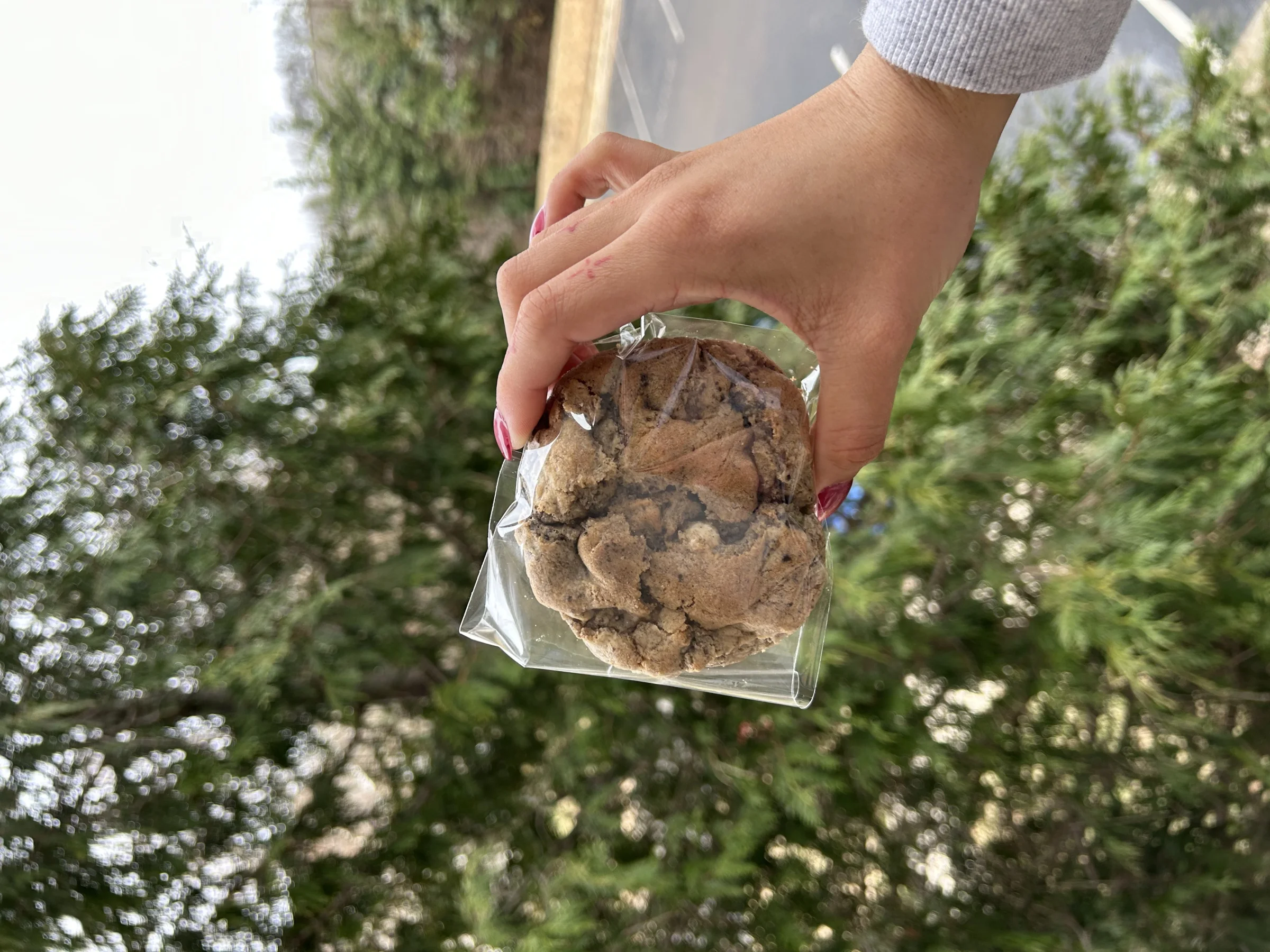 Malia bakehouse  - Image 1