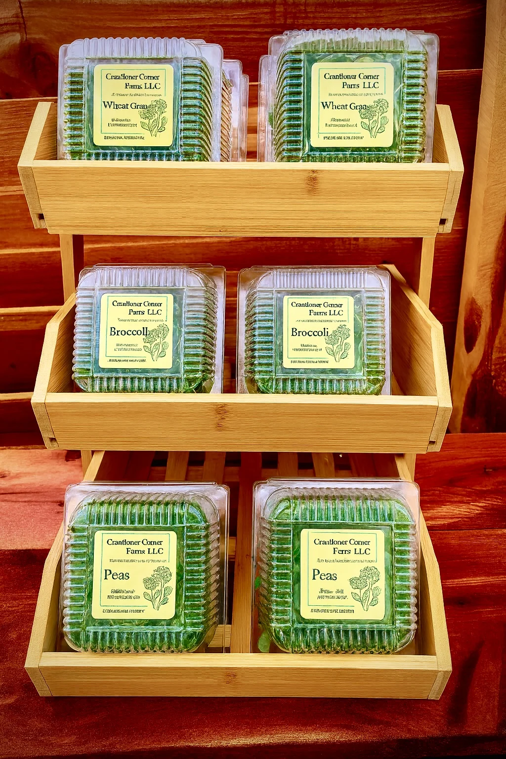 Coneflower Corner Farm - Image 2