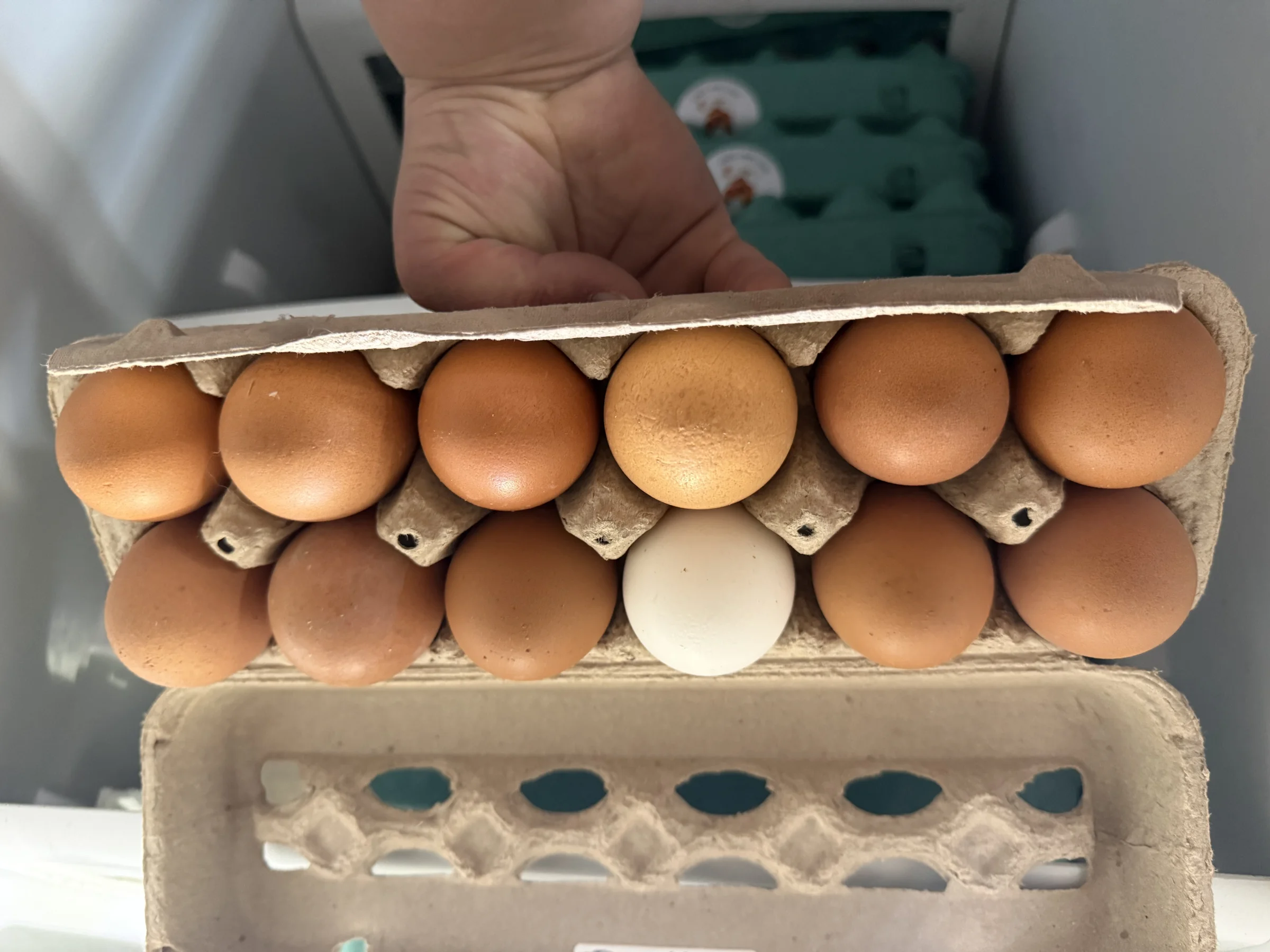 Heatherly’s Eggs - Image 1