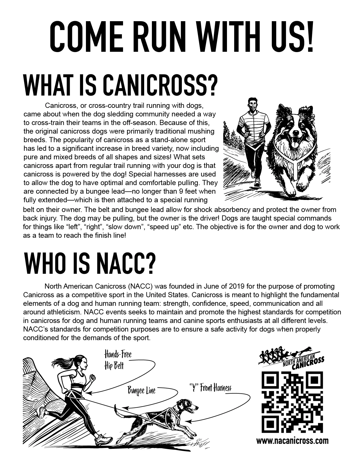 North American Canicross - Image 4