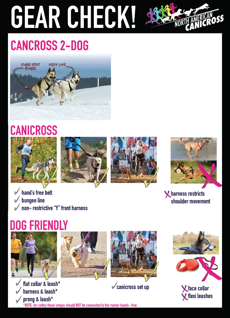 North American Canicross - Image 5