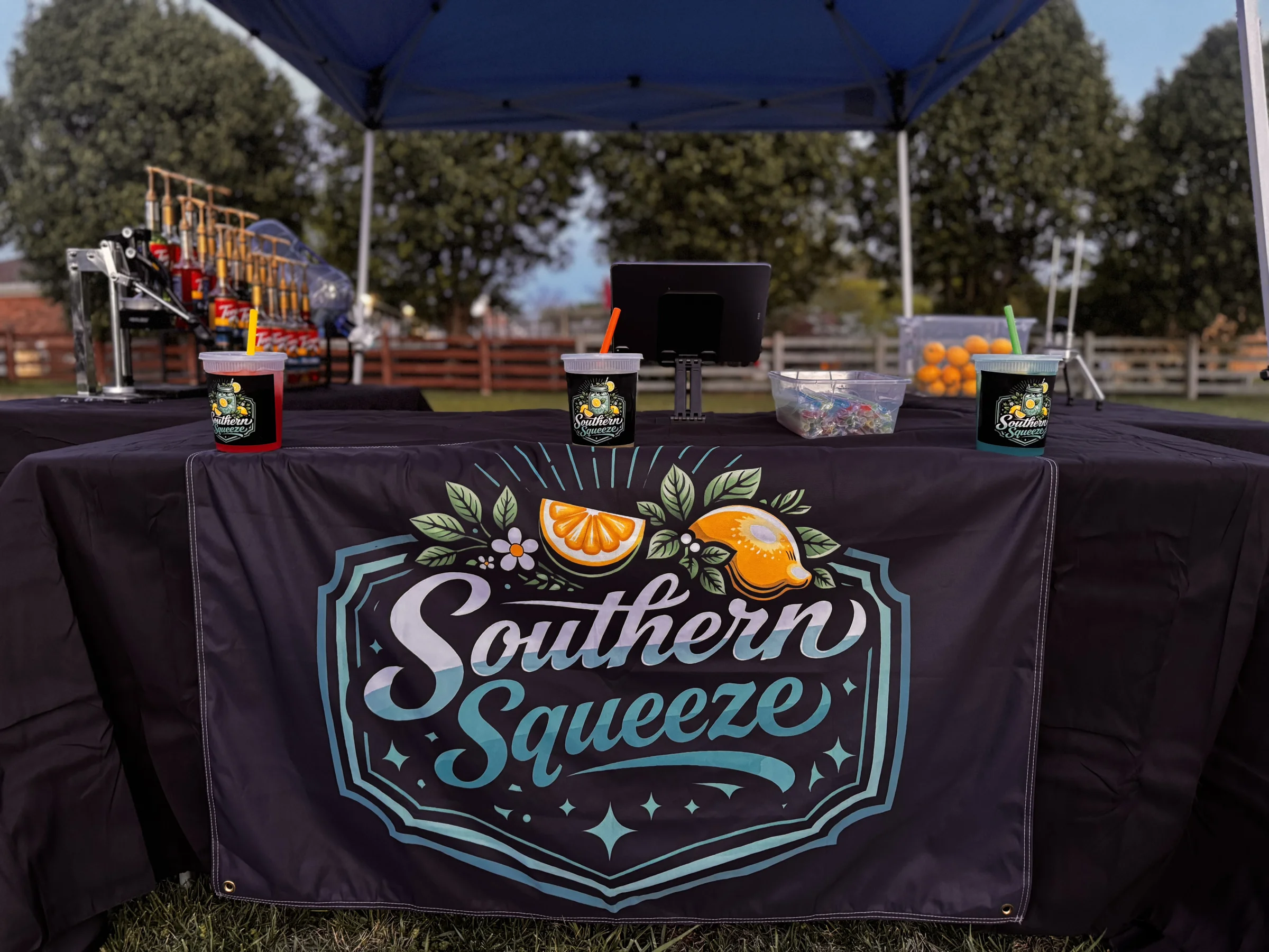 Southern Squeeze - Image 1