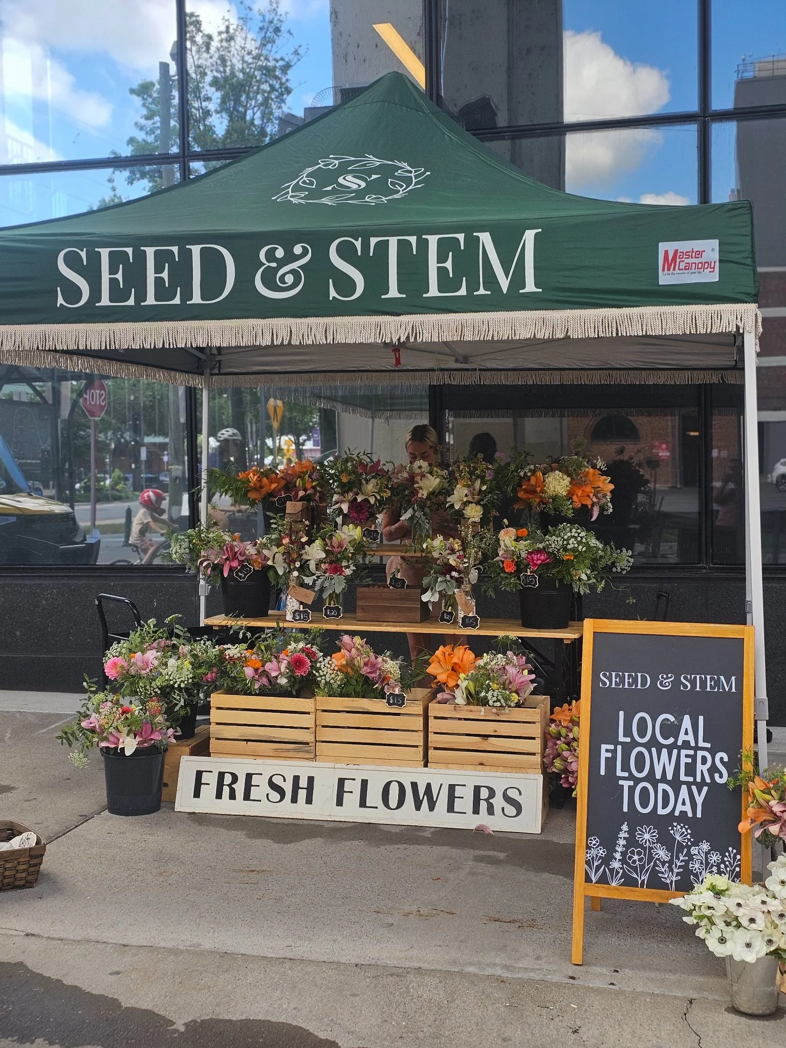 Seed & Stem Co - Image 1