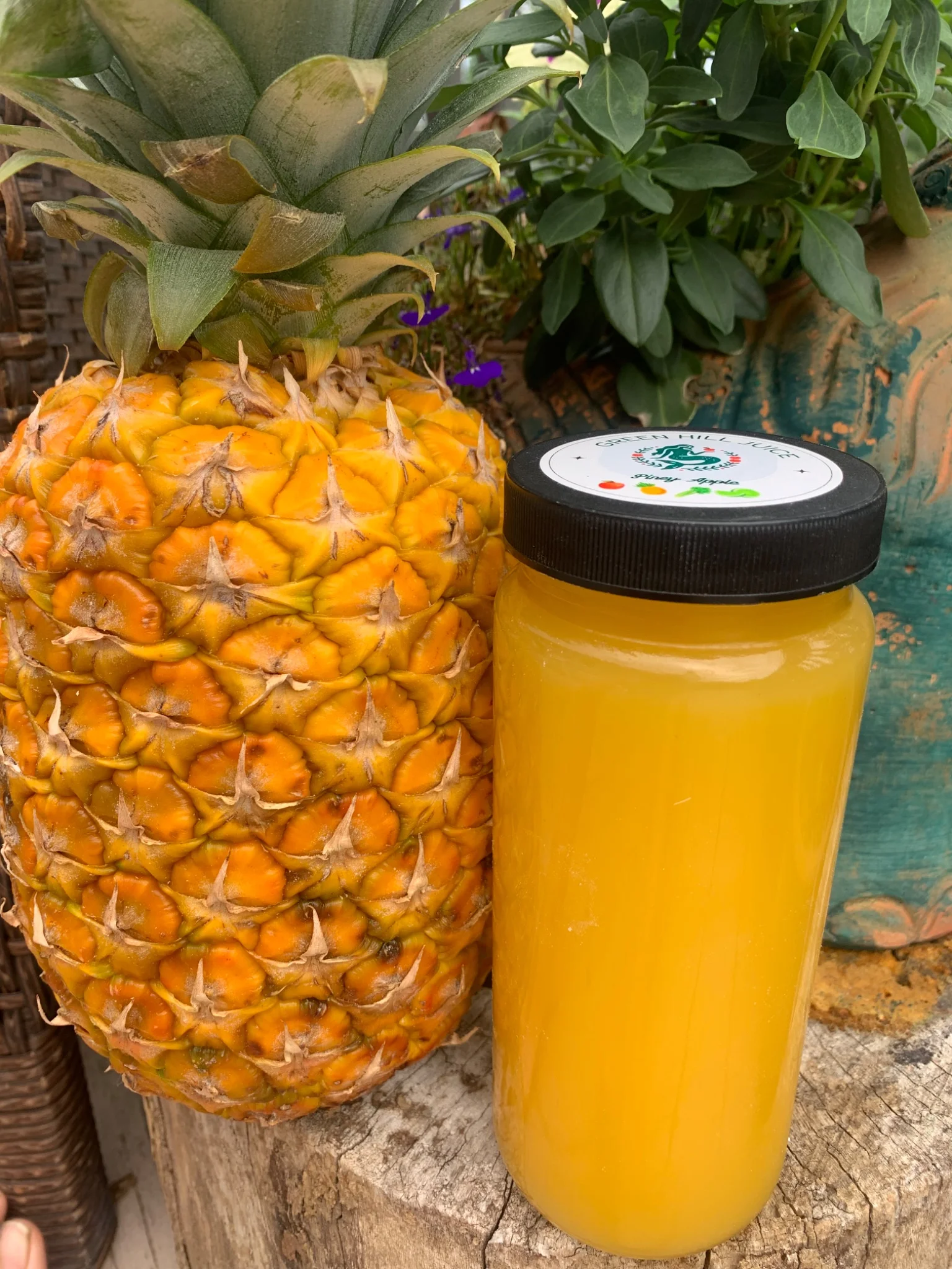 Green Hill Juice Club - Image 2