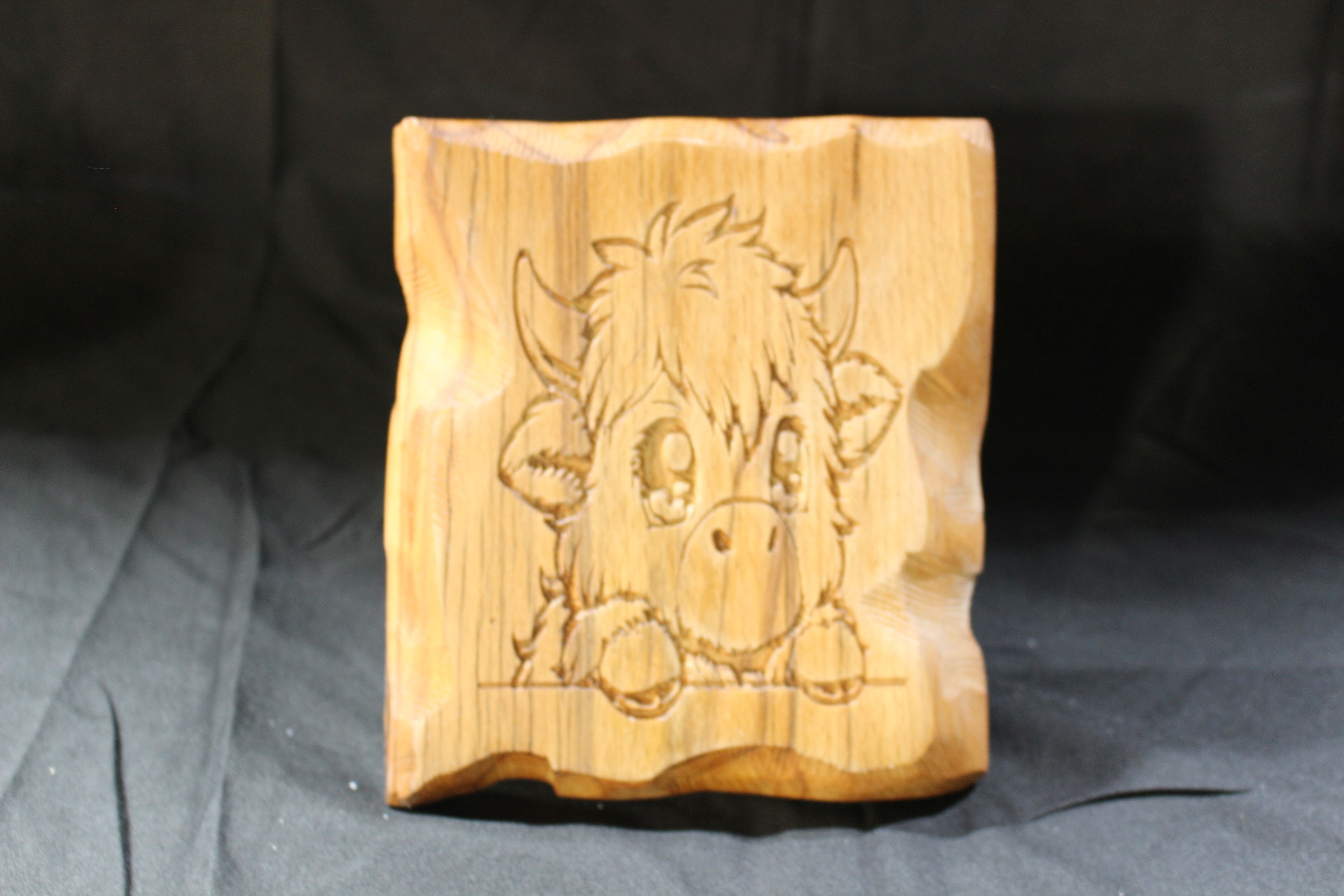 Highland Cow With Horns