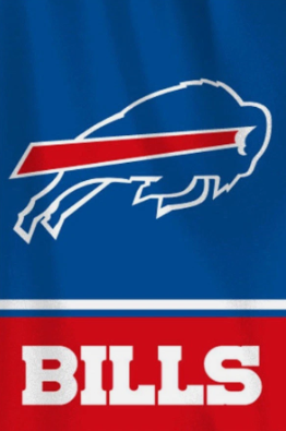 Buffalo Bills Logo Garden Flag 12in x 18in