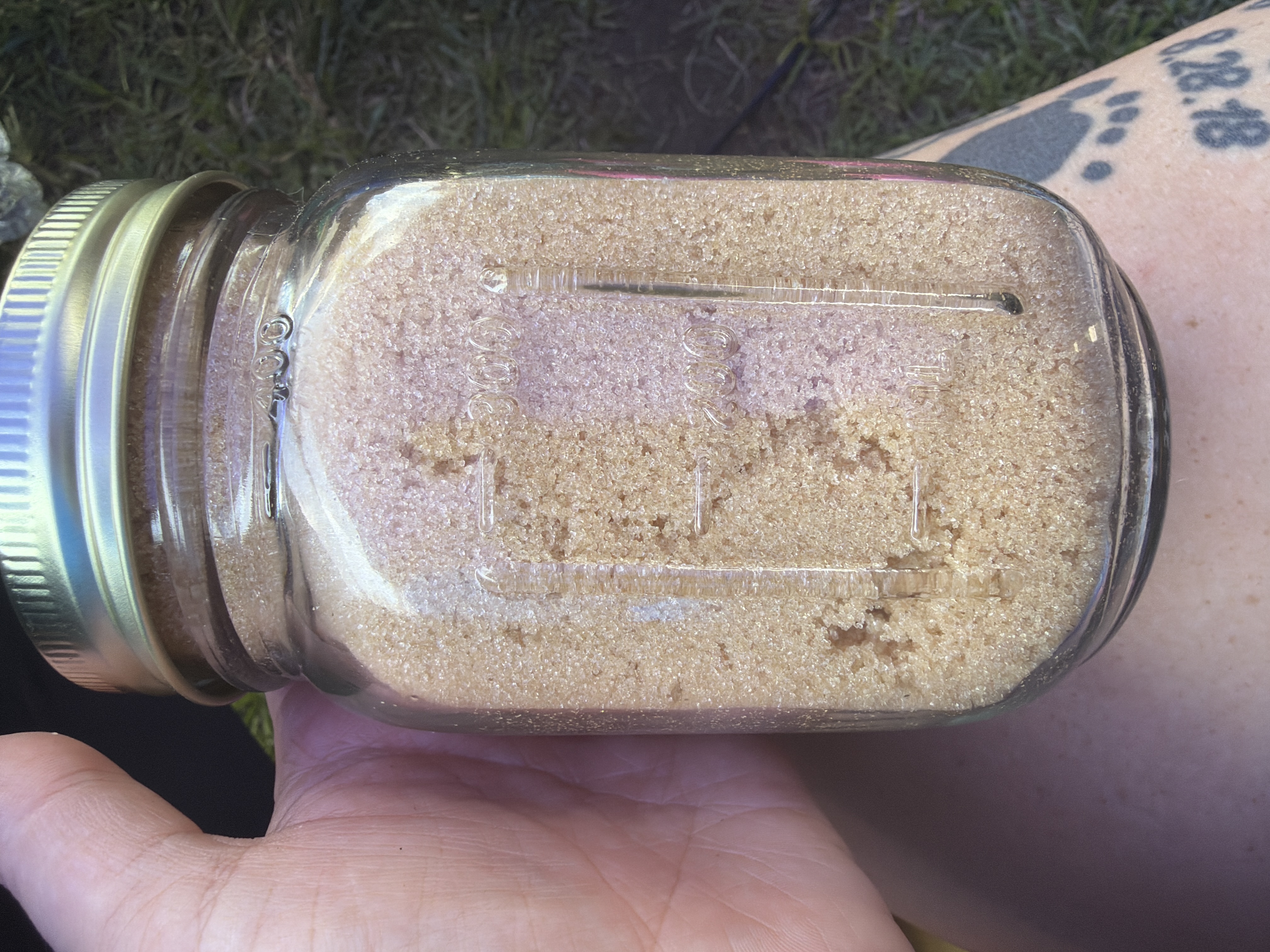 Homemade brown sugar