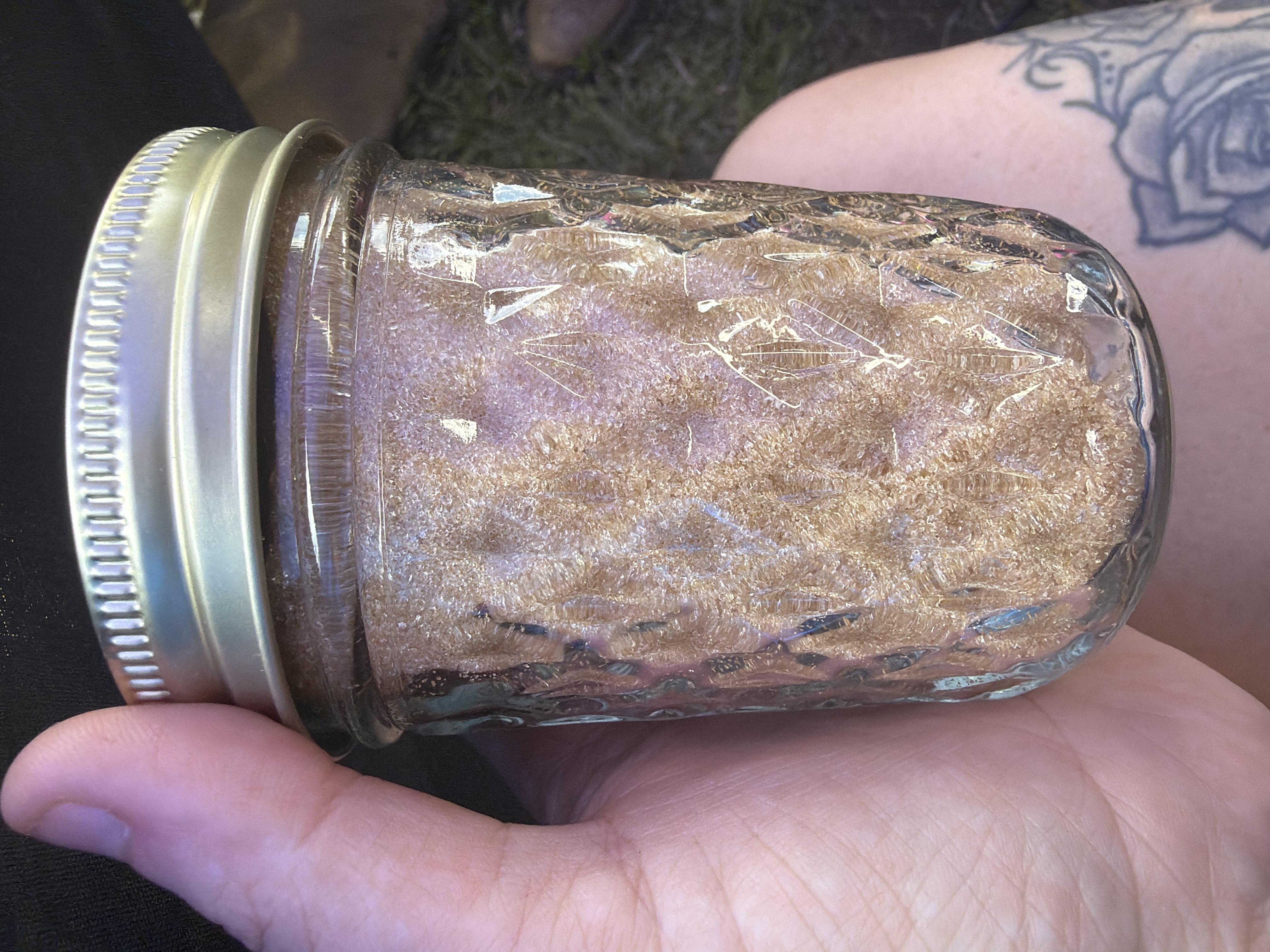Homemade brown sugar